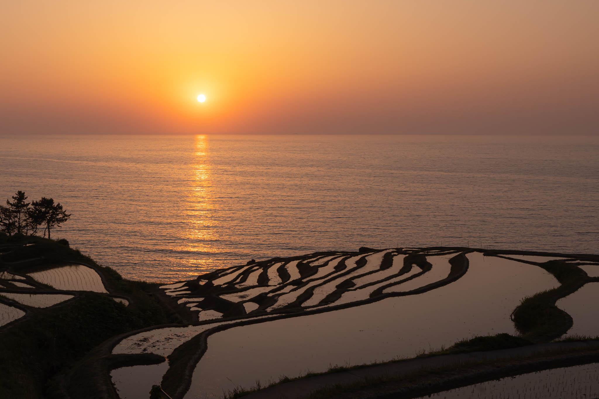 輪島塗 ― 石川県輪島 千枚田の夜景